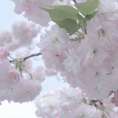 兽设毛发质感表现兽圈社群